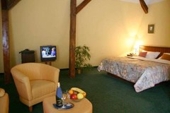 William Sivek Hotels: Room - photo 6