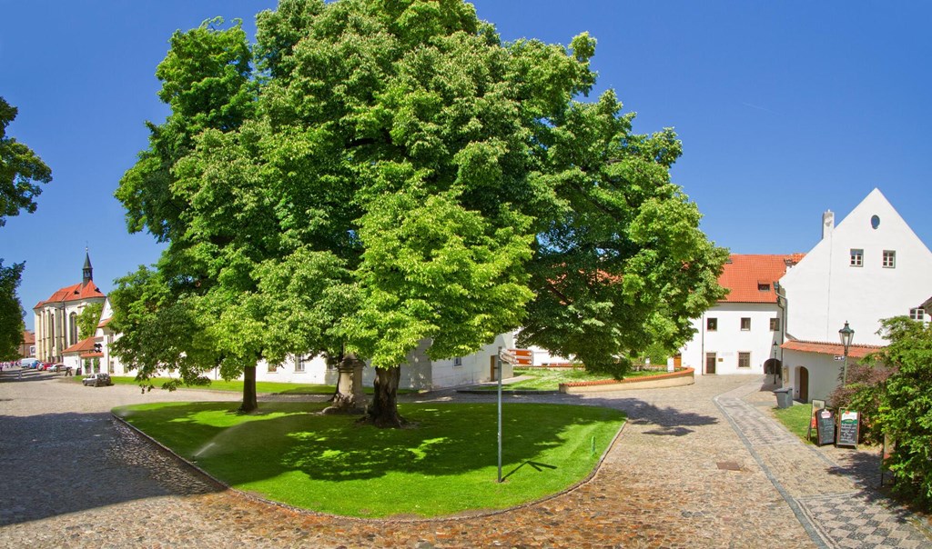 Monastery: General view