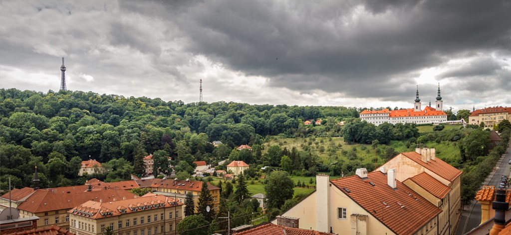 Golden Star: General view