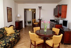 Elysee: Room APARTMENT STANDARD - photo 16