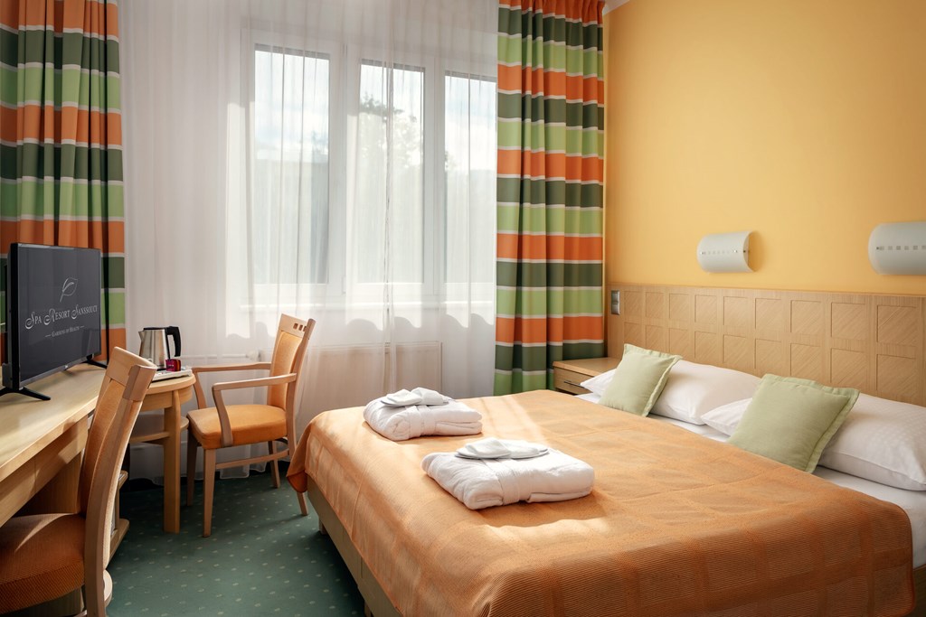 Hotel Spa Resort Sanssouci: Room DOUBLE STANDARD