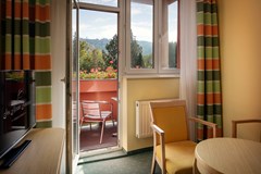 Hotel Spa Resort Sanssouci: Room DOUBLE STANDARD - photo 40
