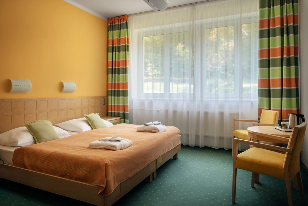 Hotel Spa Resort Sanssouci: Room DOUBLE STANDARD