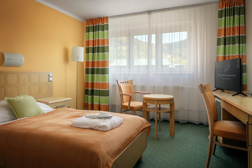 Hotel Spa Resort Sanssouci: Room SINGLE STANDARD