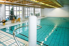 Dvorak Spa & Wellness: Pool - photo 3