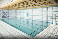 Dvorak Spa & Wellness: Pool - photo 8