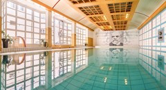 Dvorak Spa & Wellness: Pool - photo 15
