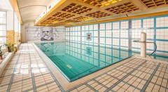 Dvorak Spa & Wellness: Pool - photo 21