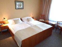 Spa Hotel Devin: Room - photo 5