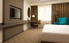 Doubletree Hilton Kazan City Center: Room DOUBLE STANDARD - photo 16