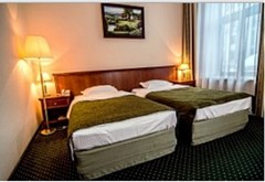 Shalyapin Palace: Room DOUBLE SINGLE USE TWO BEDS - photo 18