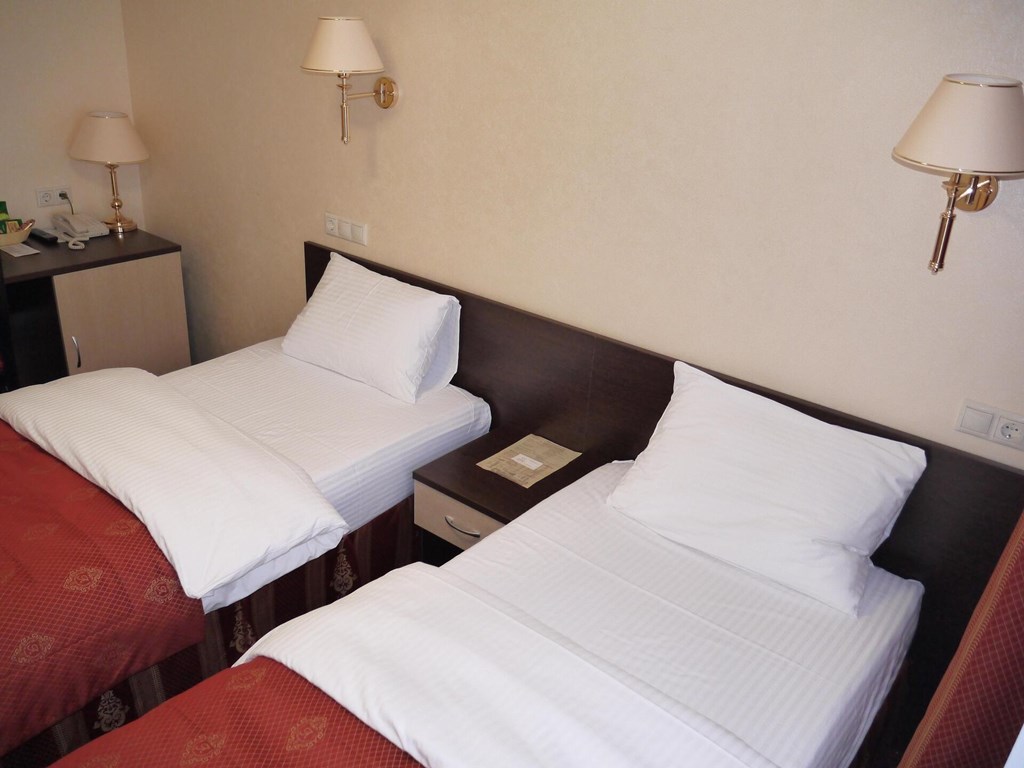 Amaks Safar Hotel: Room TWIN BUSINESS