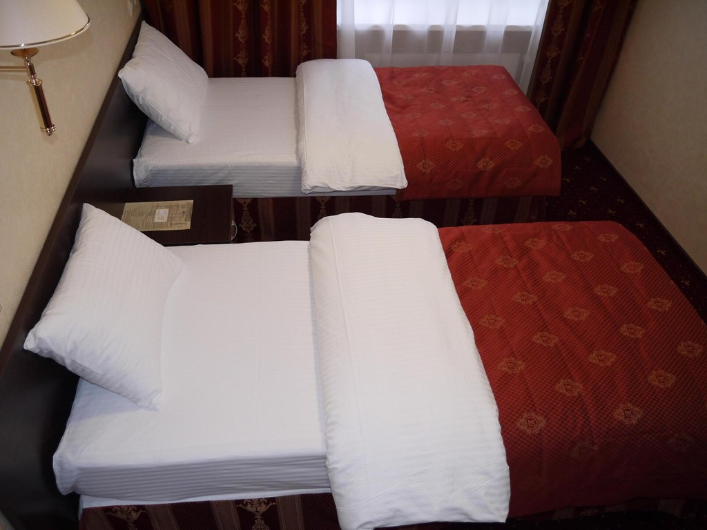 Amaks Safar Hotel: Room TWIN BUSINESS