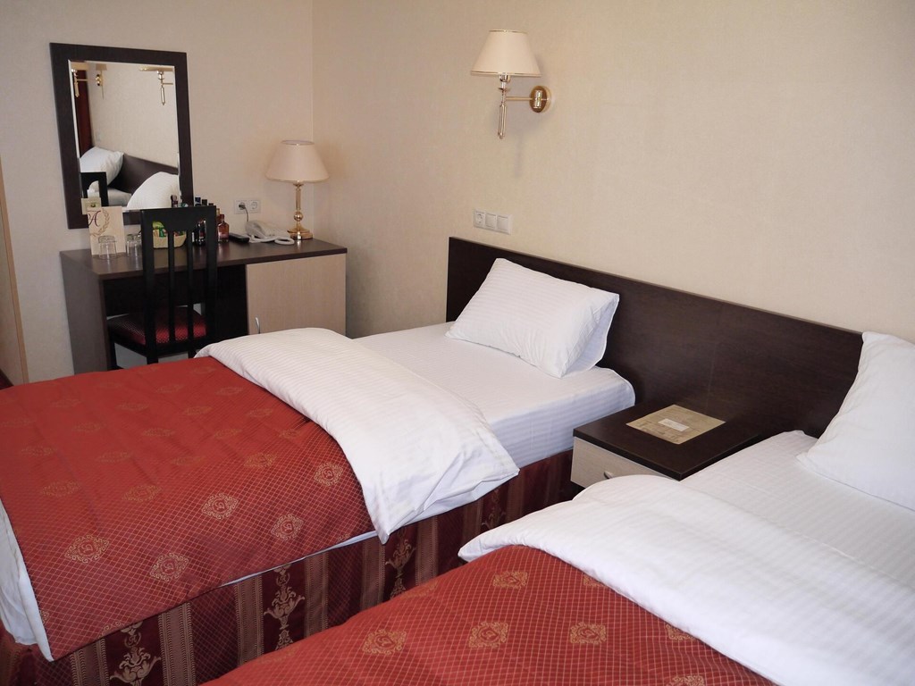 Amaks Safar Hotel: Room TWIN CAPACITY 1