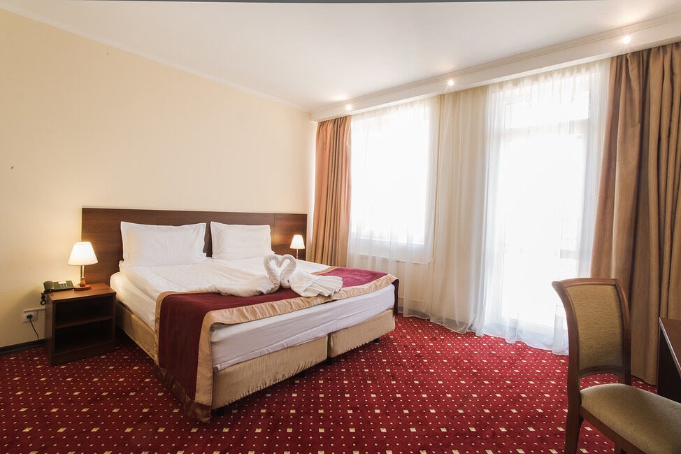 Davydov Hotel: Room DOUBLE STANDARD