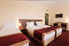 Davydov Hotel: Room TRIPLE STANDARD - photo 17