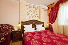 Grand Hotel Uyut: Room DOUBLE SINGLE USE STANDARD - photo 46