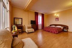 Vizit Hotel: Room DOUBLE COMFORT - photo 6