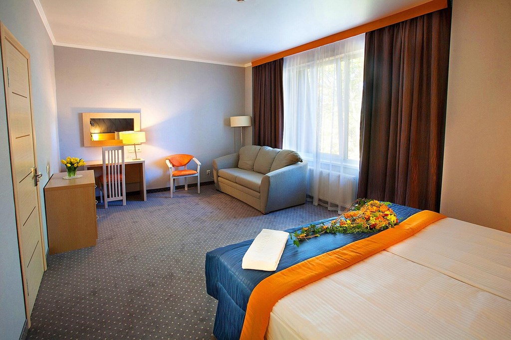 Aerootel Krasnodar: Room DOUBLE LUXURY