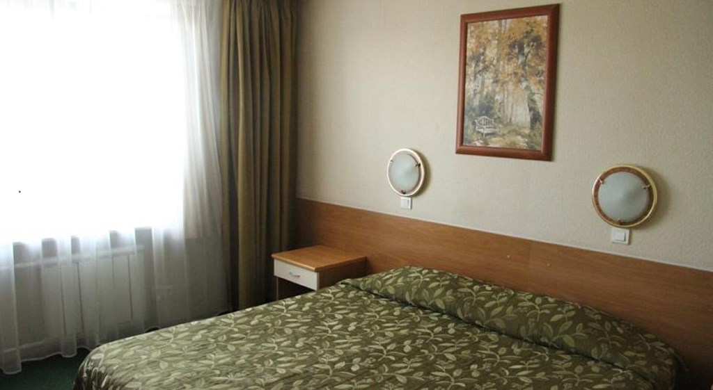 Airhotel Domodedovo: Room DOUBLE SINGLE USE STANDARD