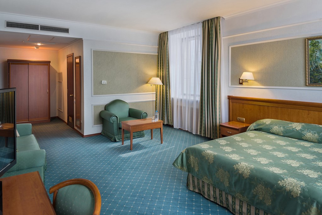 Borodino: Room DOUBLE SINGLE USE BUSINESS