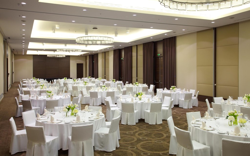 DoubleTree by Hilton Moscow Marina: Conferences