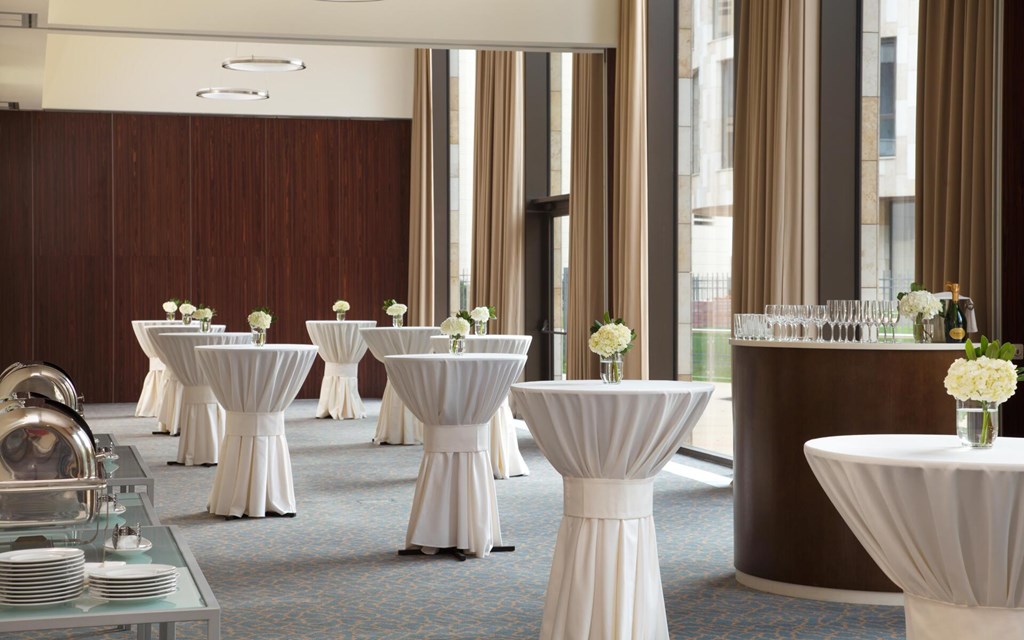 DoubleTree by Hilton Moscow Marina: Conferences