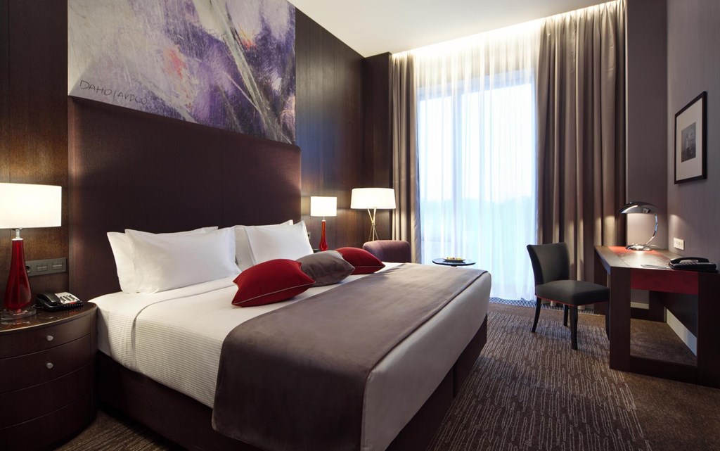 DoubleTree by Hilton Moscow Marina: Room DOUBLE STANDARD