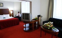 Holiday Inn Sokolniki: Room - photo 3