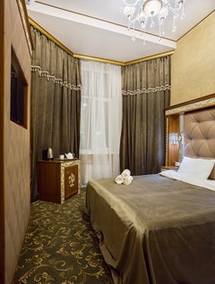 Hotel Empire: Room DOUBLE SINGLE USE STANDARD - photo 37