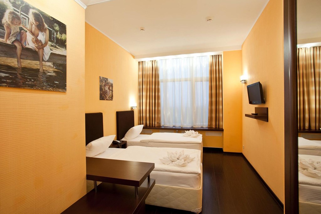 Inside Business Rumyantsevo: Room TWIN STANDARD