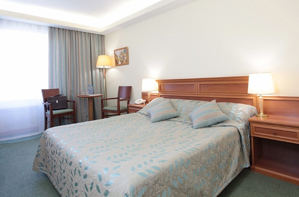 Izmailovo Delta: Room DOUBLE PREMIUM