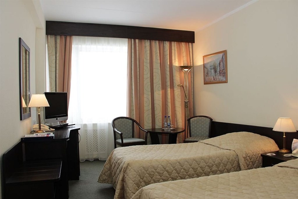 Izmailovo Delta: Room TWIN STANDARD