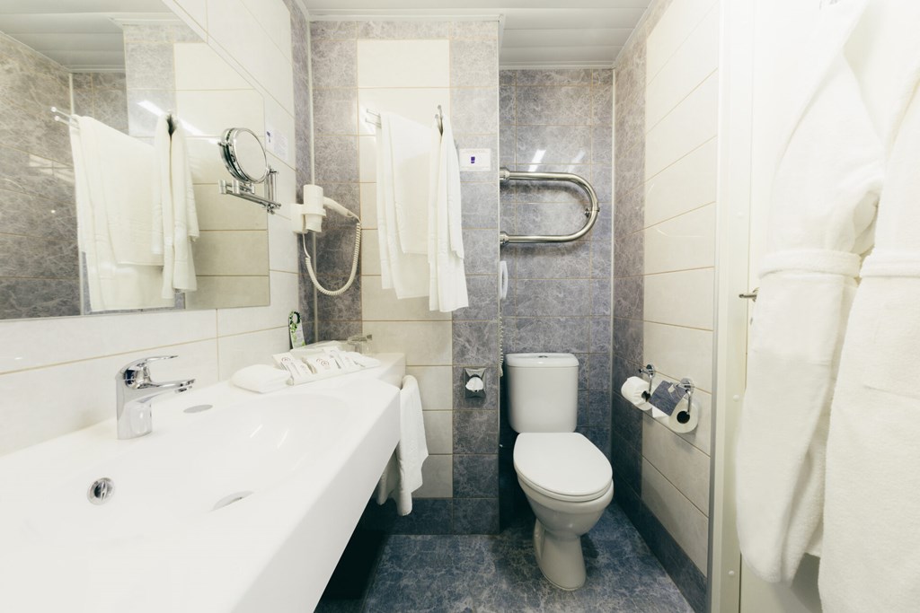 Izmailovo Delta: Room DOUBLE PREMIUM