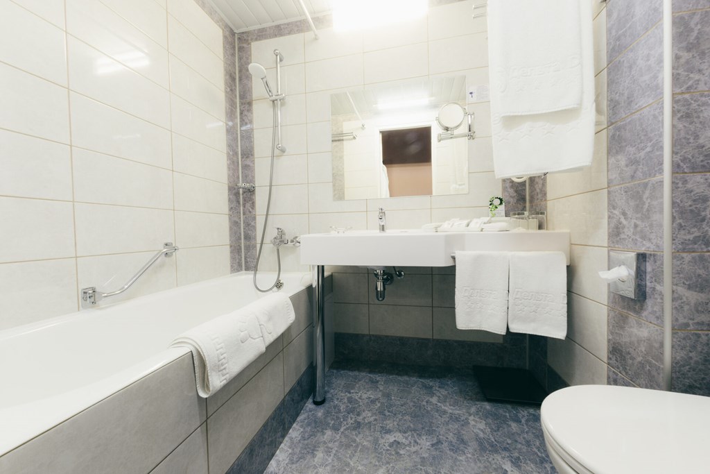 Izmailovo Delta: Room DOUBLE PREMIUM