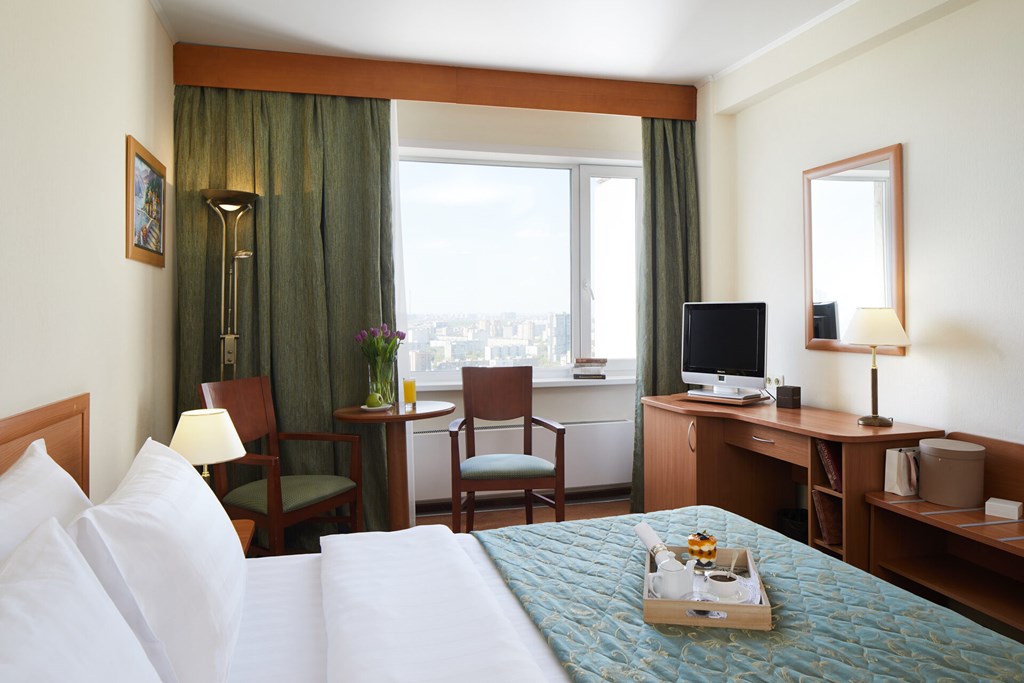 Izmailovo Delta: Room DOUBLE BUSINESS