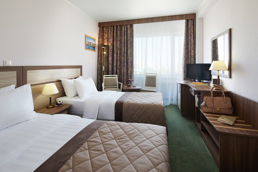 Izmailovo Delta: Room TWIN BUSINESS