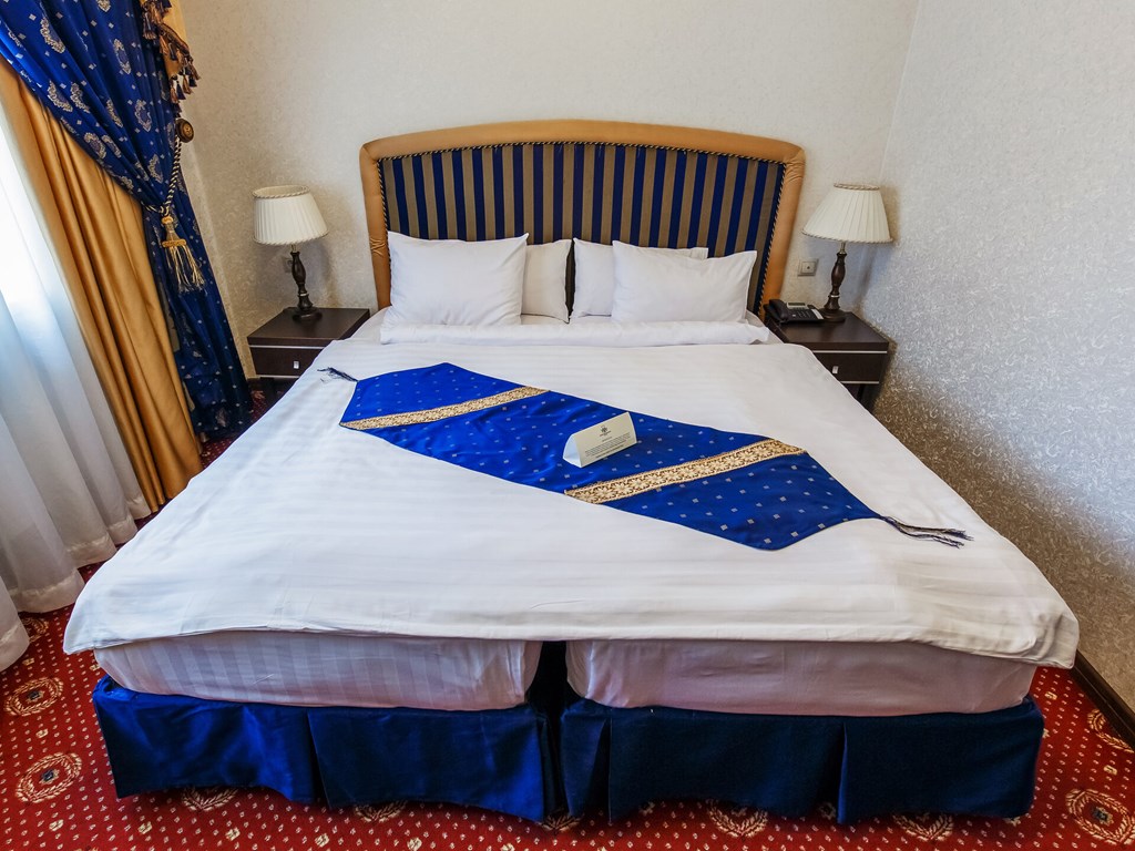 Moscow Holiday Hotel: Room DOUBLE SINGLE USE STANDARD