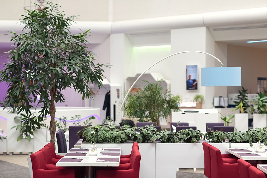 Novotel Moscow Sheremetyevo: Restaurant