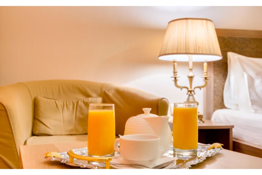 Vnukovo Village Park Hotel & SPA: Room SINGLE STANDARD