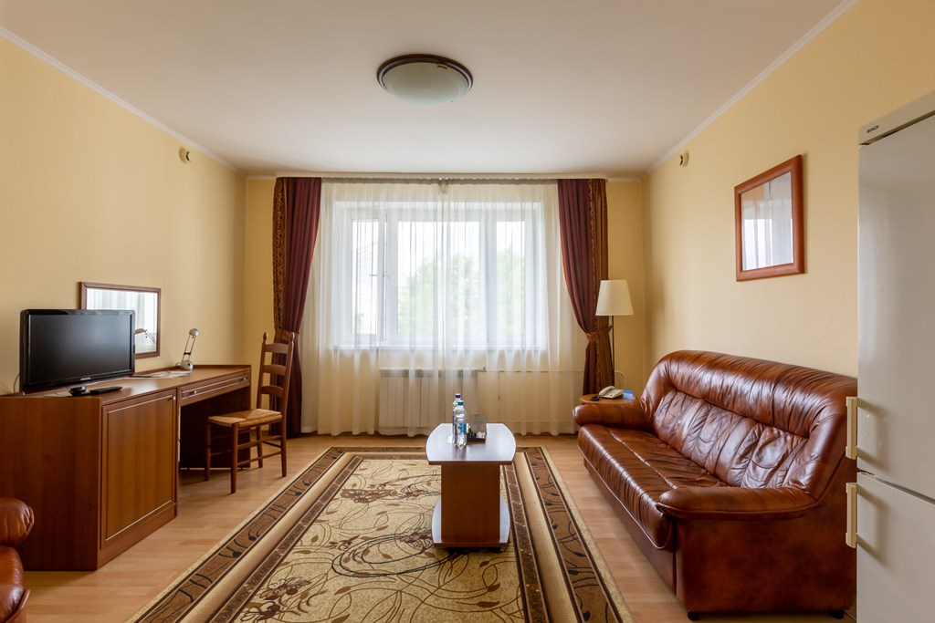 Volga Apart-hotel Moscow: Room DOUBLE SINGLE USE BUSINESS