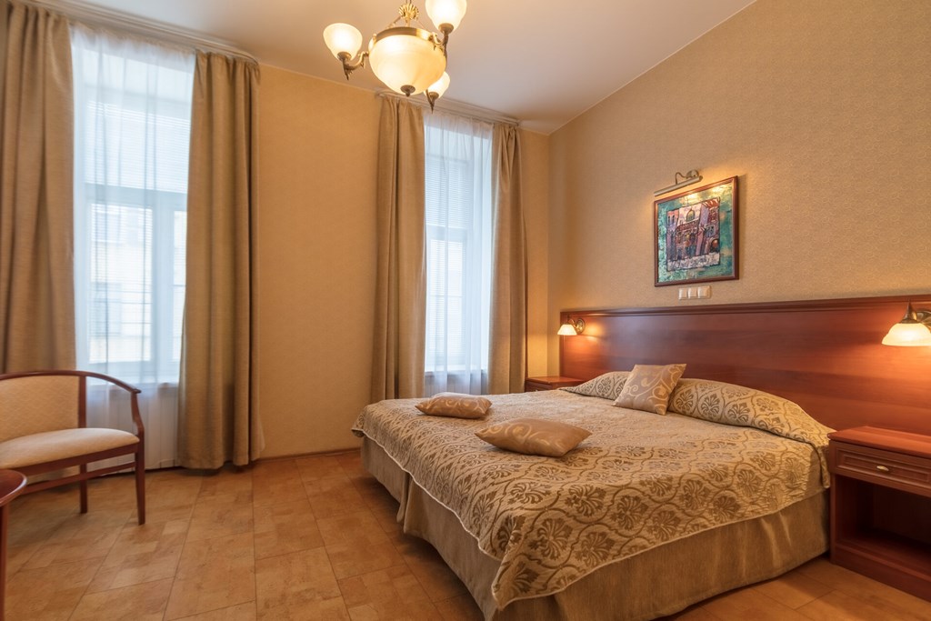 Comfort Hotel St Petersburg: Room DOUBLE SINGLE USE DELUXE