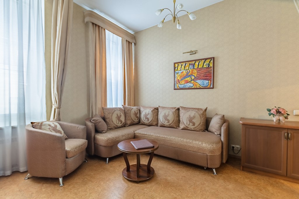 Comfort Hotel St Petersburg: Room DOUBLE SINGLE USE DELUXE