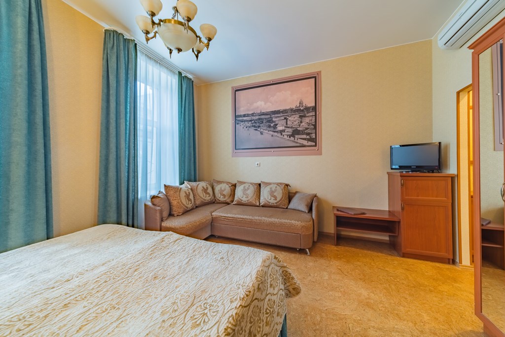 Comfort Hotel St Petersburg: Room DOUBLE SINGLE USE SUPERIOR