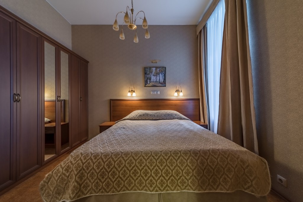 Comfort Hotel St Petersburg: Room DOUBLE STANDARD