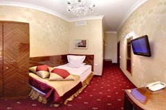 Golden Triangle Hotel: Room SINGLE STANDARD - photo 17