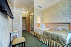 Golden Triangle Hotel: Room SINGLE STANDARD - photo 47