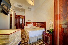 Golden Triangle Hotel: Room SINGLE STANDARD - photo 69