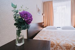 Nevsky Breeze Hotel: Room DOUBLE SINGLE USE SUPERIOR - photo 55