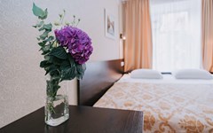 Nevsky Breeze Hotel: Room - photo 21